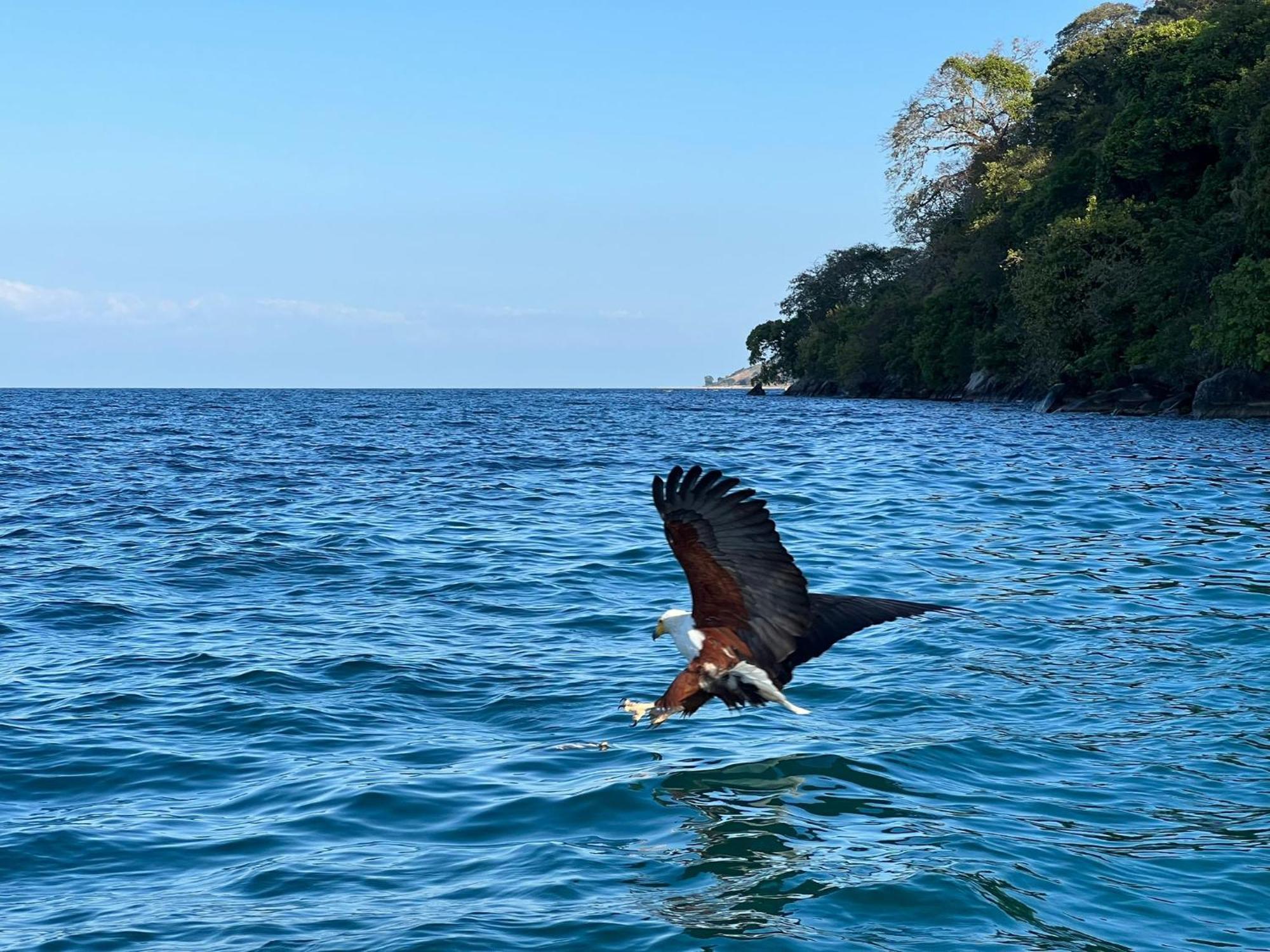 Butterfly Space- A Non-Profit Eco-Lodge Nkhata Bay Ngoại thất bức ảnh