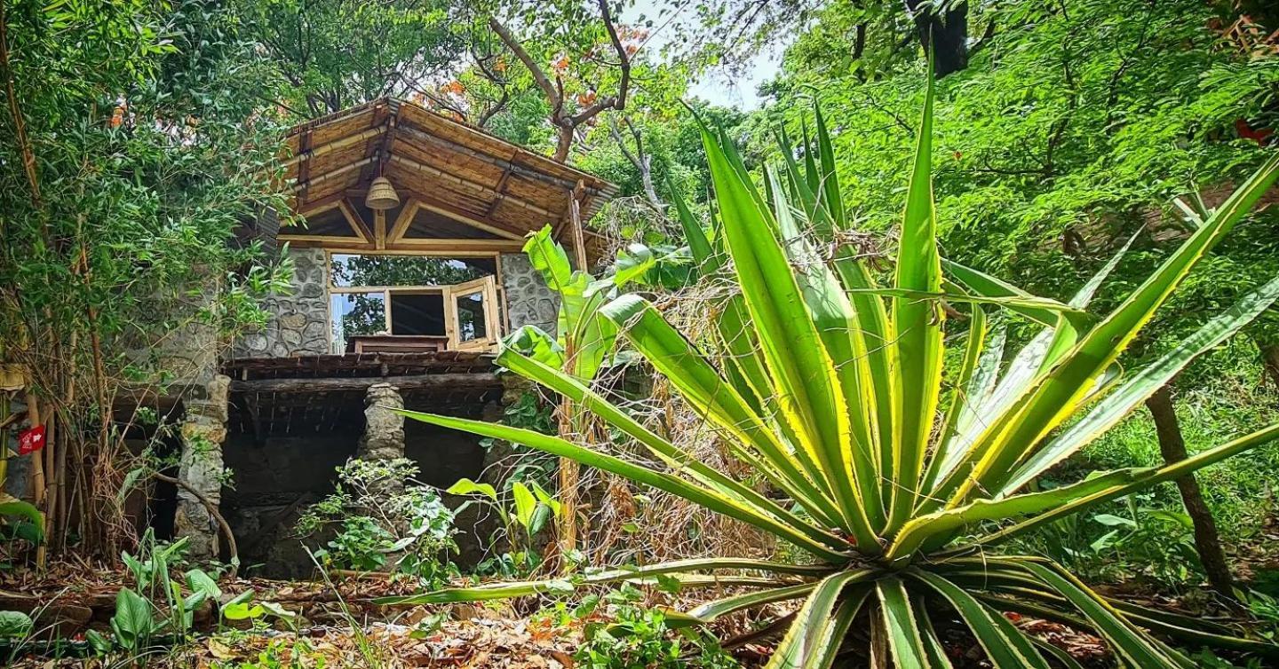 Butterfly Space- A Non-Profit Eco-Lodge Nkhata Bay Ngoại thất bức ảnh
