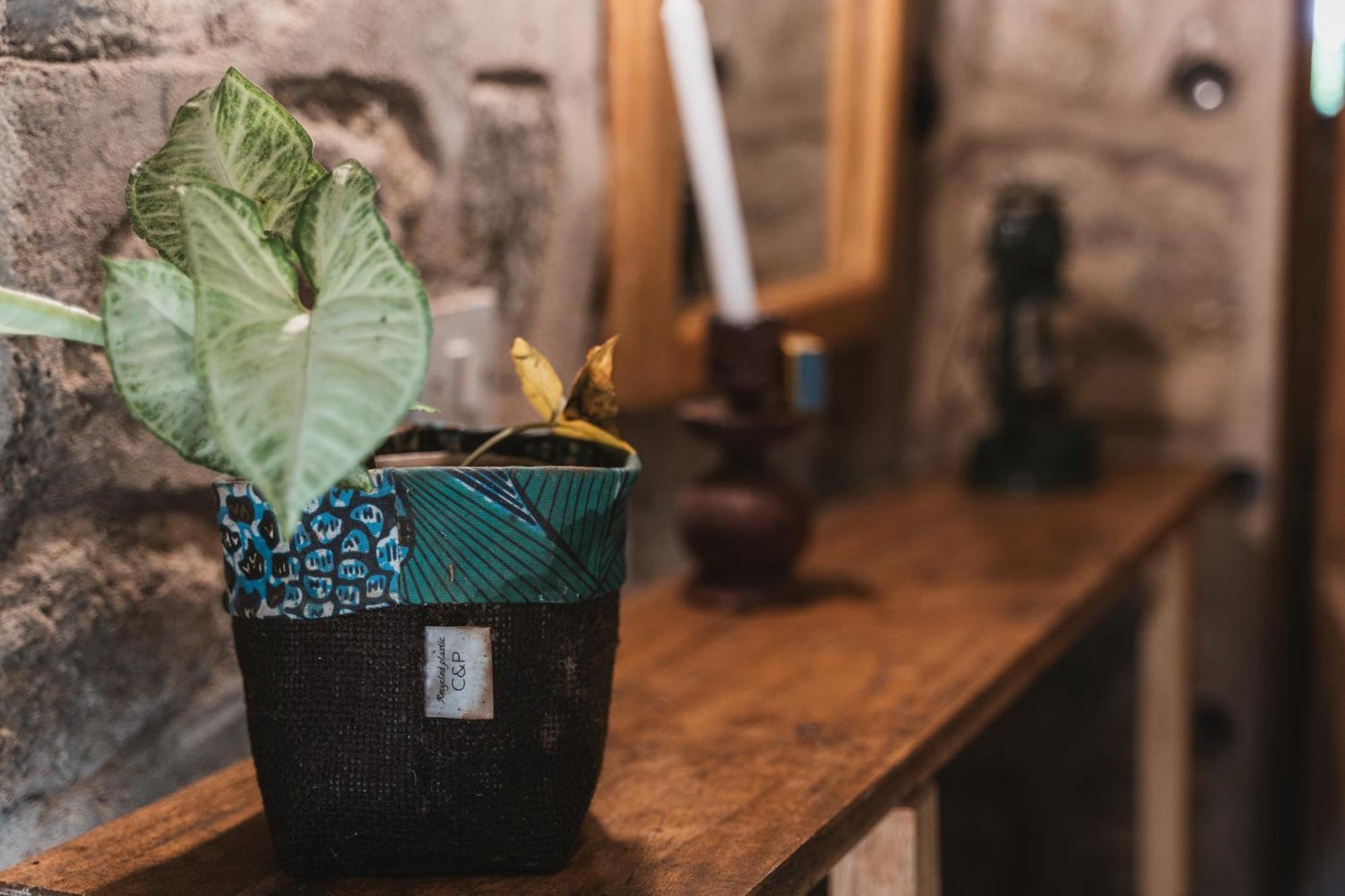 Butterfly Space- A Non-Profit Eco-Lodge Nkhata Bay Ngoại thất bức ảnh