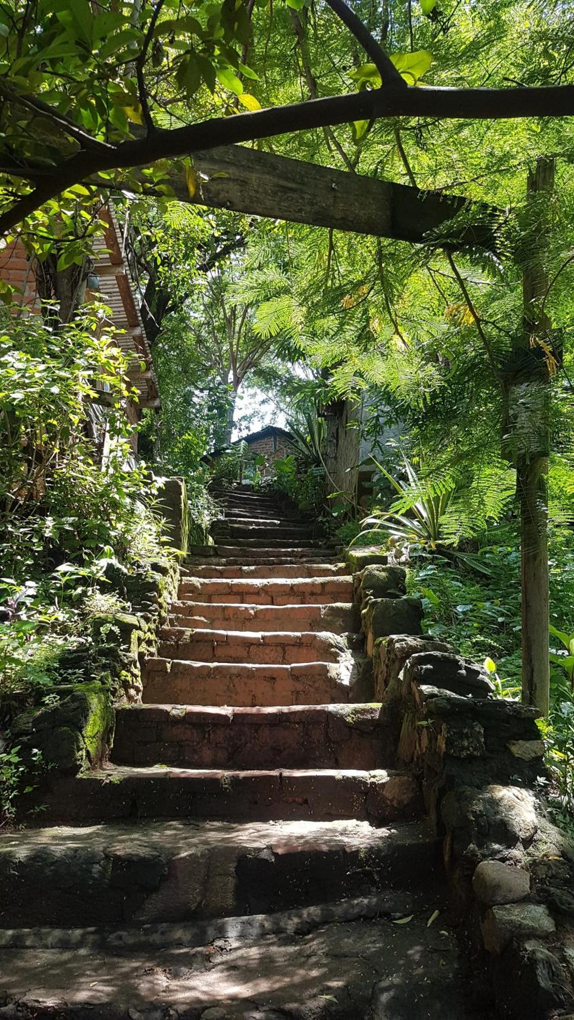 Butterfly Space- A Non-Profit Eco-Lodge Nkhata Bay Ngoại thất bức ảnh