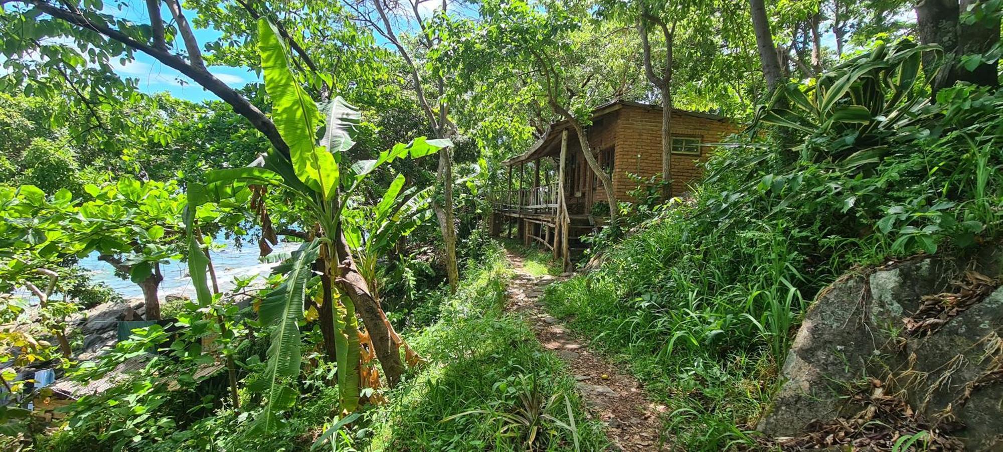 Butterfly Space- A Non-Profit Eco-Lodge Nkhata Bay Ngoại thất bức ảnh