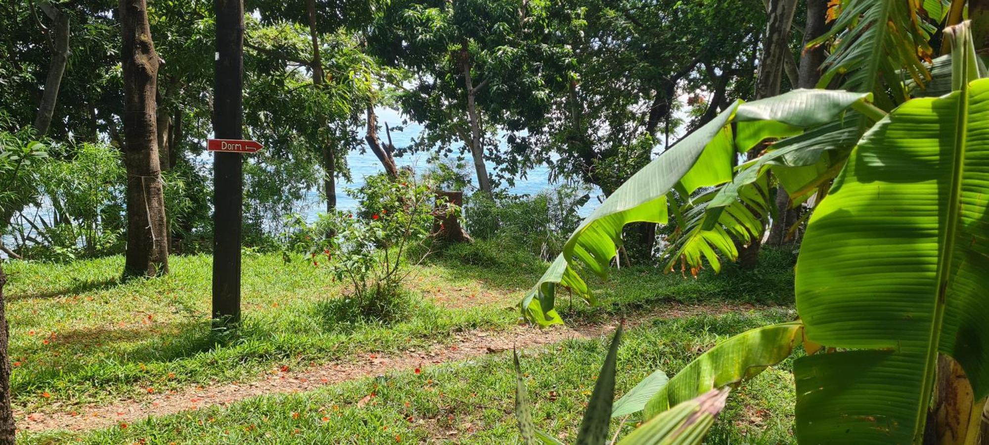 Butterfly Space- A Non-Profit Eco-Lodge Nkhata Bay Ngoại thất bức ảnh
