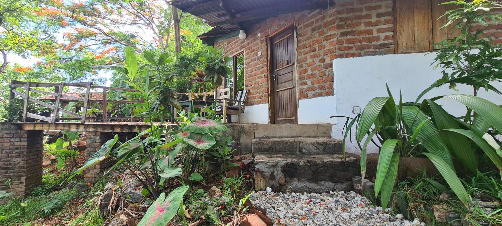 Butterfly Space- A Non-Profit Eco-Lodge Nkhata Bay Ngoại thất bức ảnh