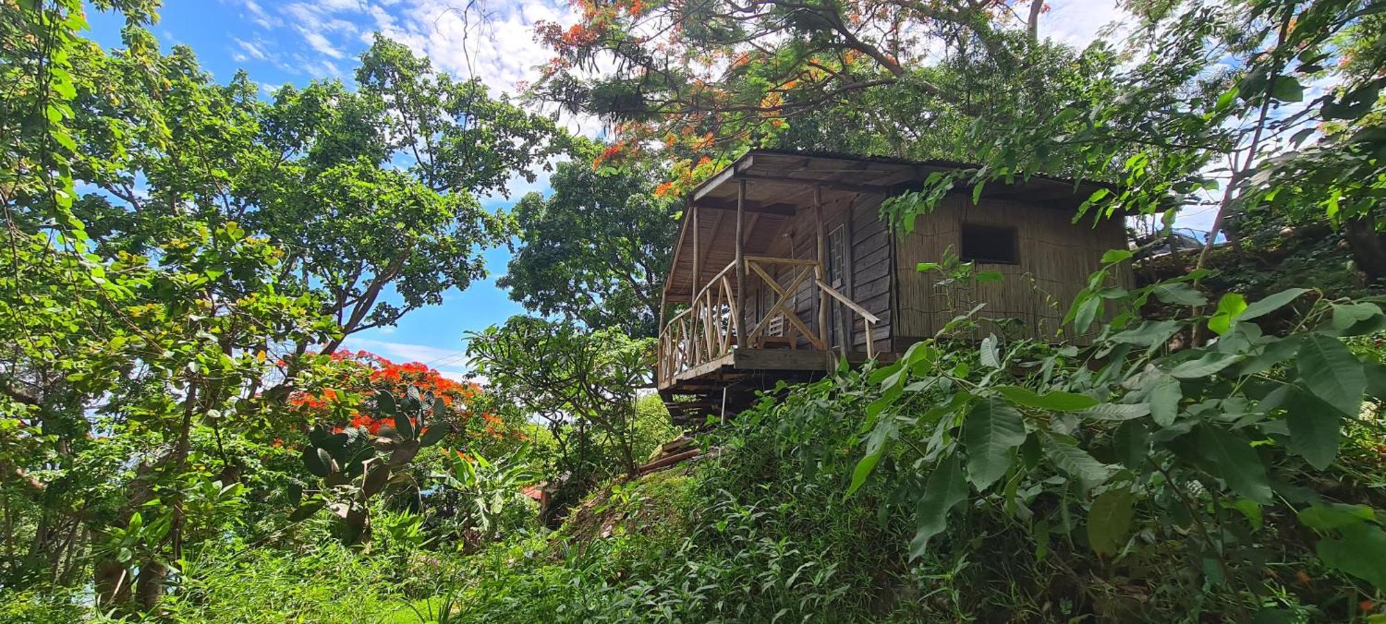 Butterfly Space- A Non-Profit Eco-Lodge Nkhata Bay Ngoại thất bức ảnh