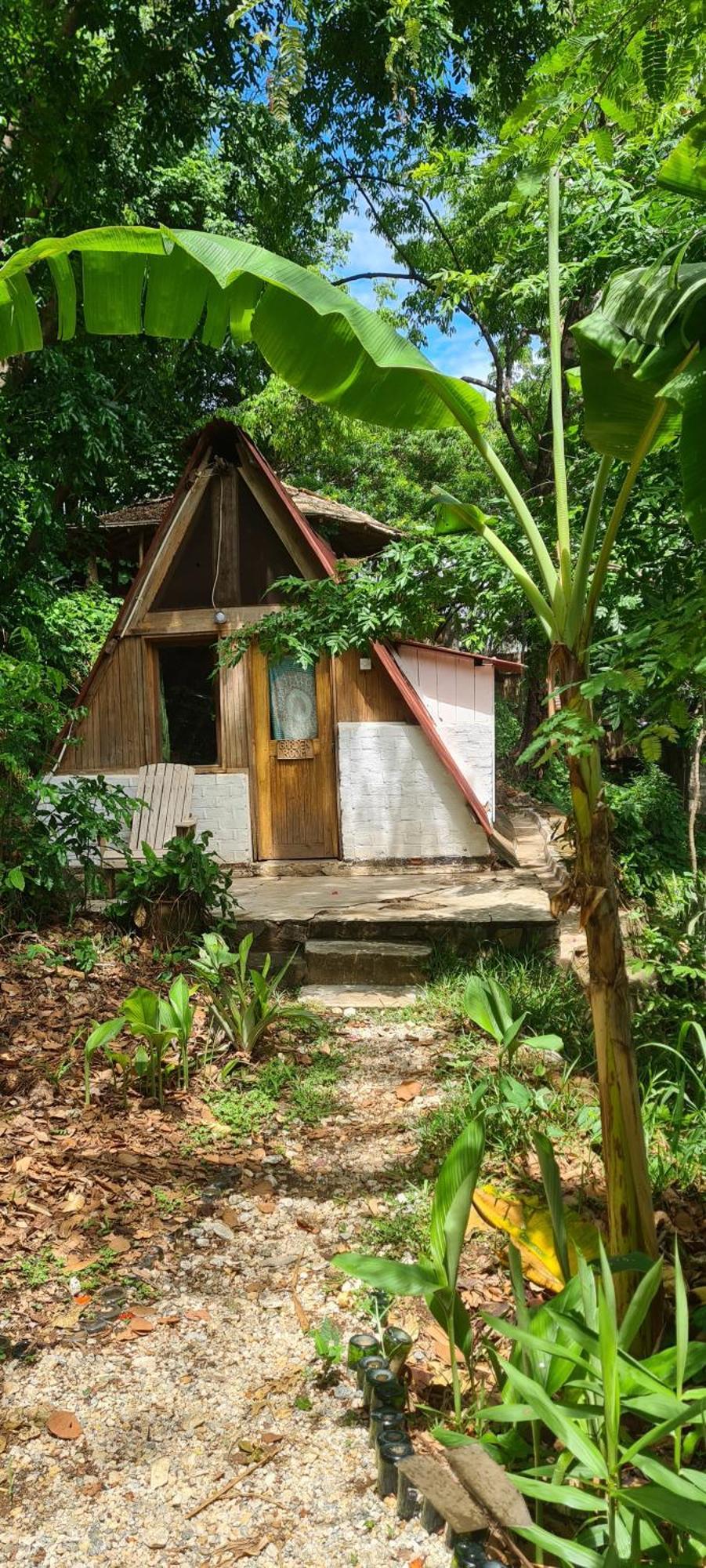 Butterfly Space- A Non-Profit Eco-Lodge Nkhata Bay Ngoại thất bức ảnh