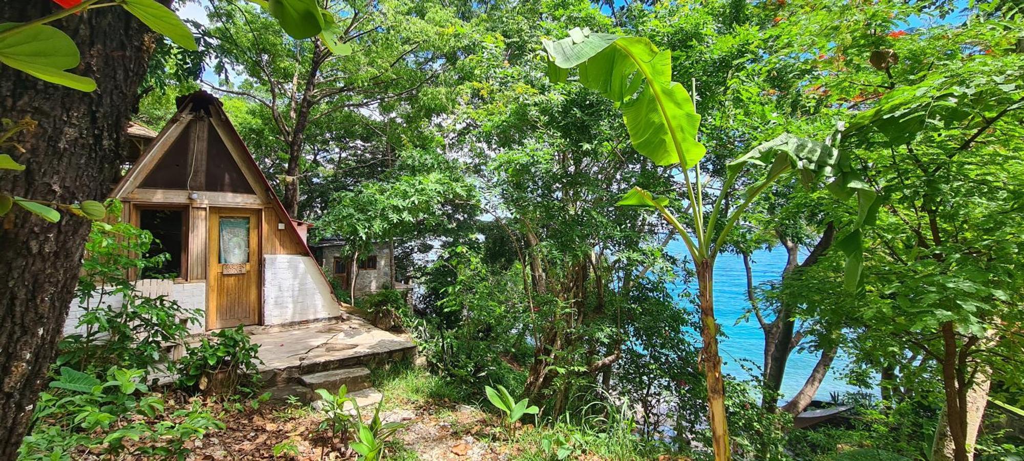 Butterfly Space- A Non-Profit Eco-Lodge Nkhata Bay Ngoại thất bức ảnh